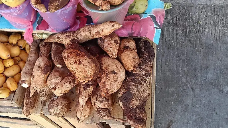 tradicion